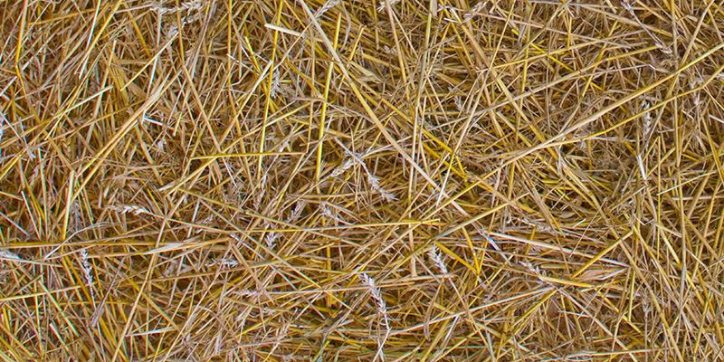 Straw