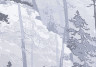 Флизелиновые обои Milassa Ambient vol. 2 AM2 011 в серых и черных оттенках