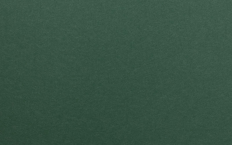Однотонные флизелиновые обои Milassa Ambient vol. 2 AM3 005/3 темно-зеленые