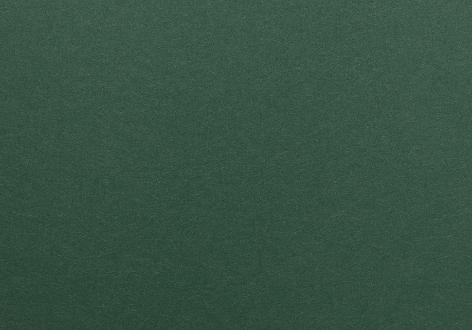 Однотонные флизелиновые обои Milassa Ambient vol. 2 AM3 005/3 темно-зеленые