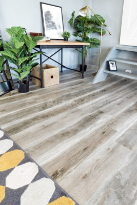 ДУБ ЛЕСНОЙ ECO 5-18