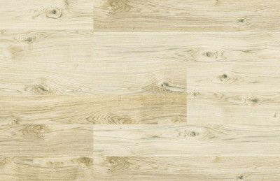 Oak Virginia White