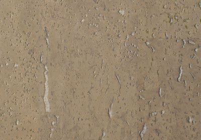 Пробковые полы Corkart Narrow Plank CU3 185w ZT B и PJ3 185w ZT X -6.0