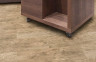 Oak antique
